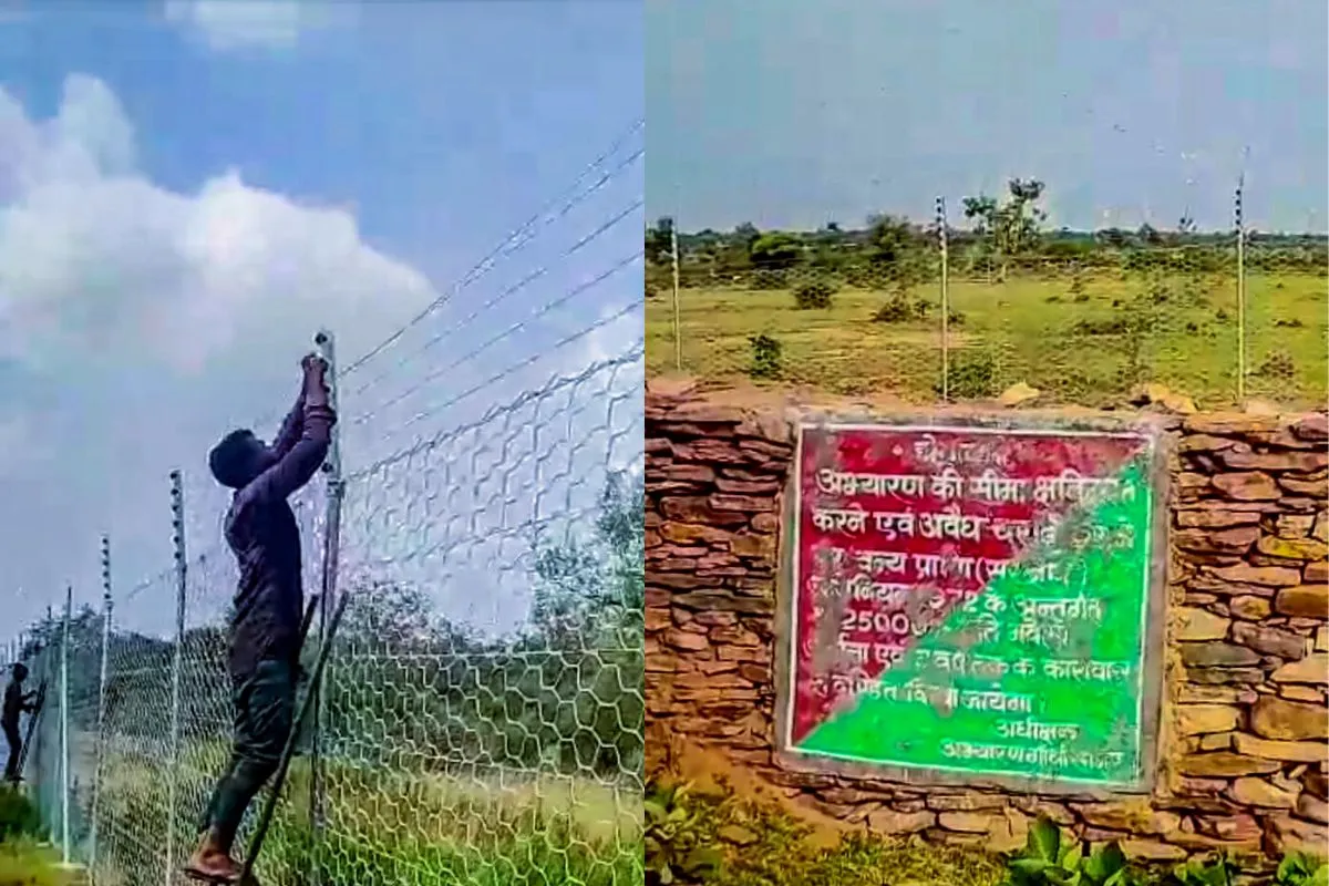Gandhi sagar second home for cheetah