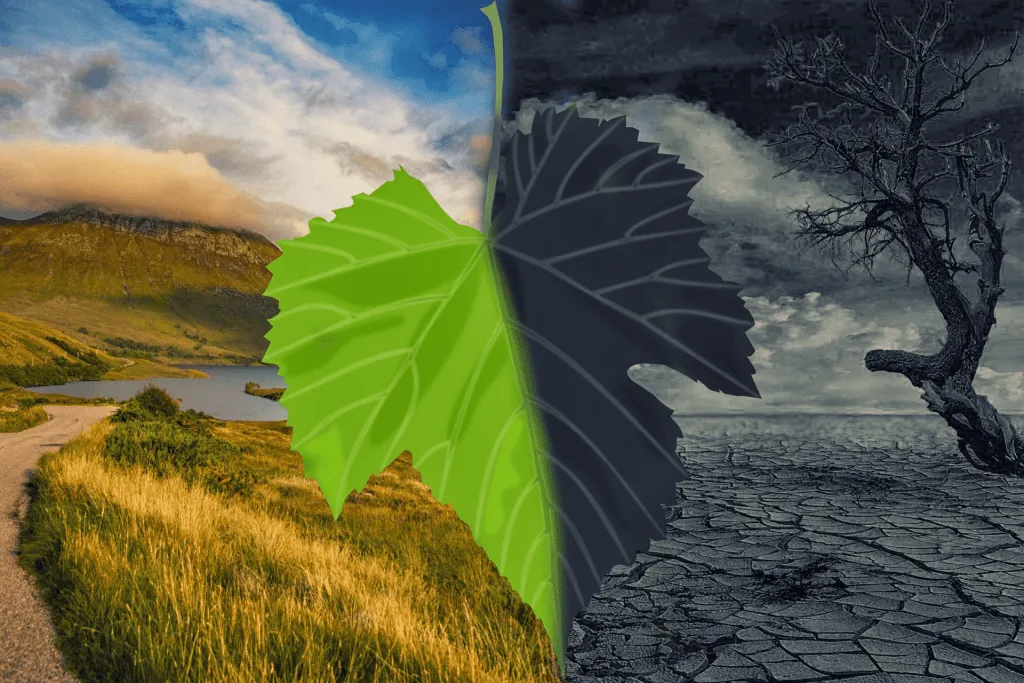islam and climate change