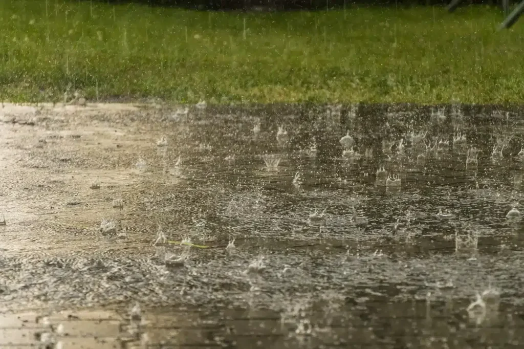 Weather update: IMD issues rain and snowfall alerts across India