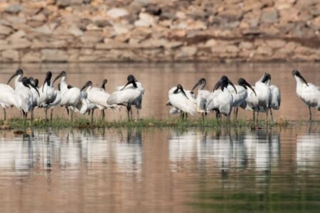 Two Human-made wetlands Nagi & Nakti of Bihar added to Ramsar list