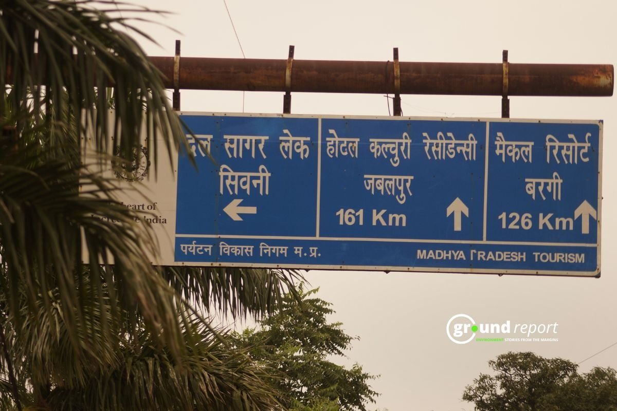 dal sagar seoni NGT