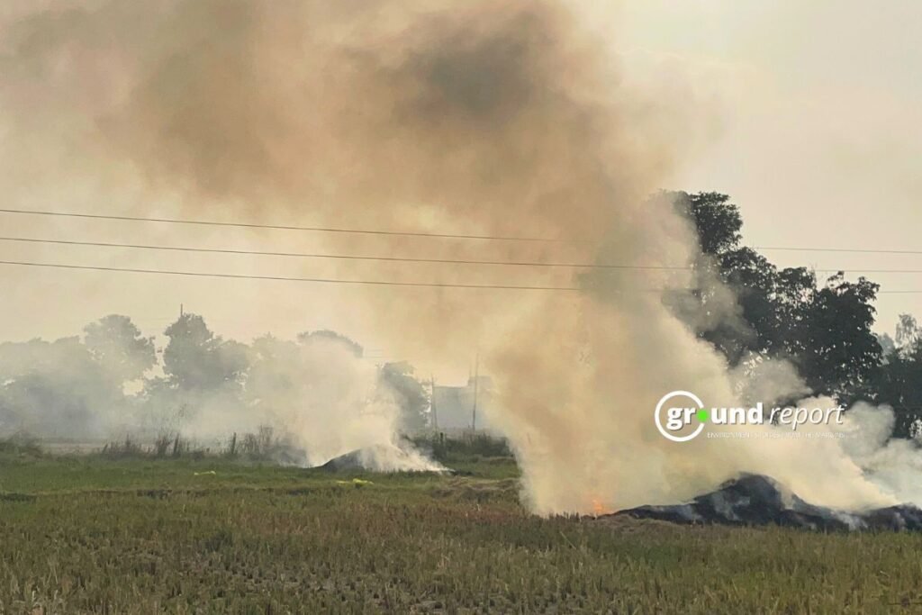 Stubble smoke suffocates MP villages, exempted from double penalty