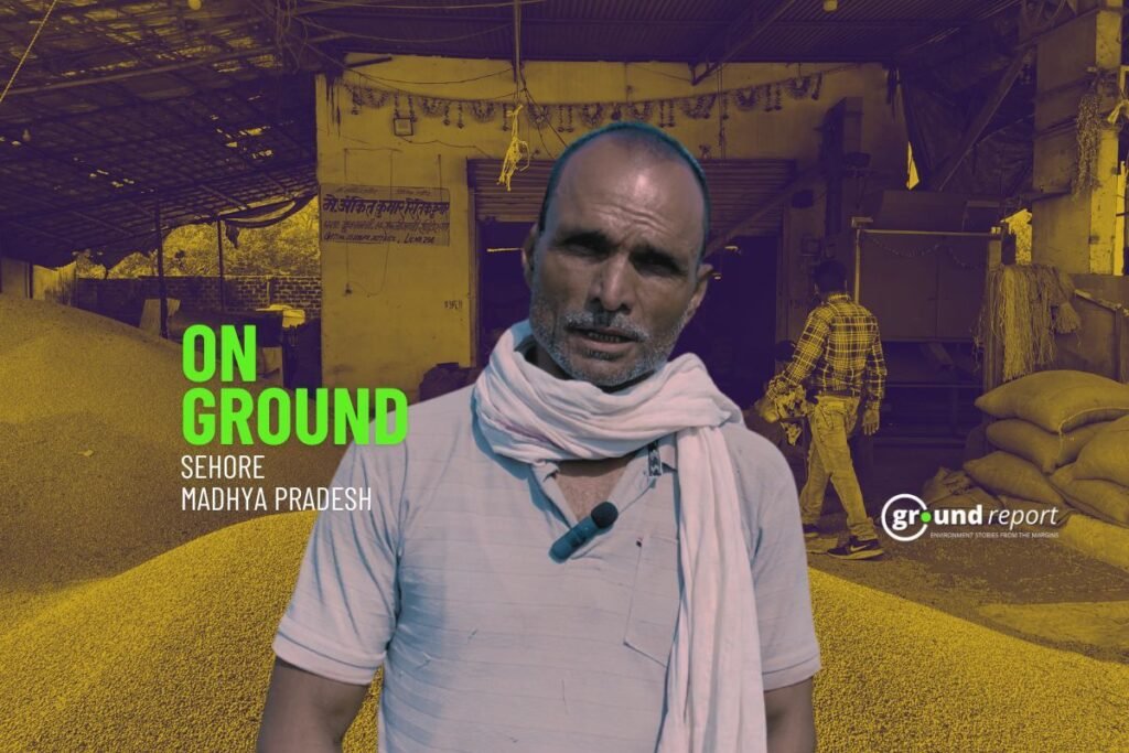 Soybean Crisis: MP Farmers Stay Away from MSP | Here's Why