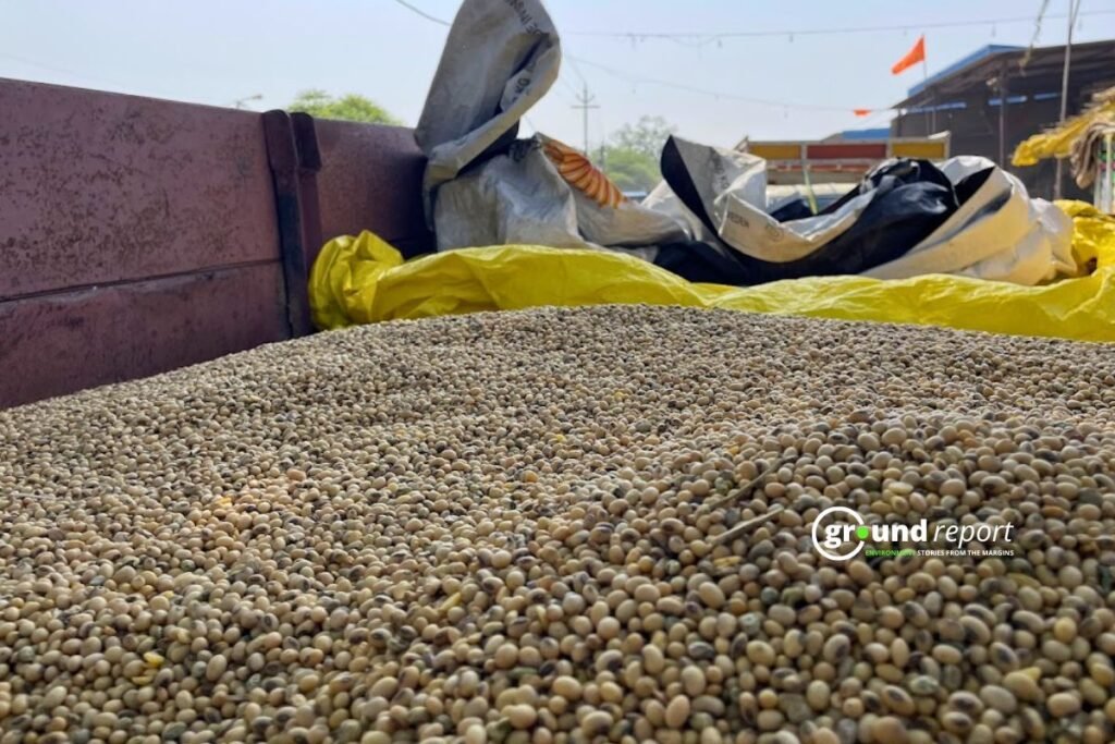 MSP पर सोयाबीन का उपार्जन लक्ष्य से 70 फीसदी पीछे, क्या हैं कारण?