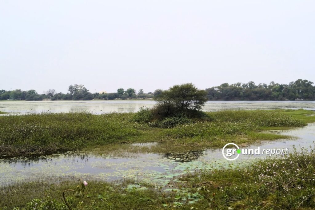 वेटलैंड सिटी के रूप में चुना गया इंदौर, भूपेंद्र यादव ने दी जानकारी
