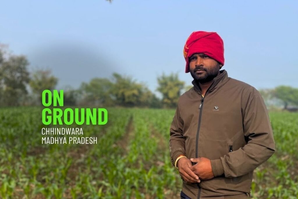Climate crisis hits MP's maize belt