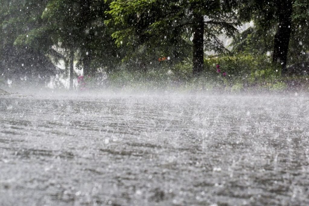 Heavy Rain Likely in Madhya Pradesh for Five Days, Alert Issued in Several Districts