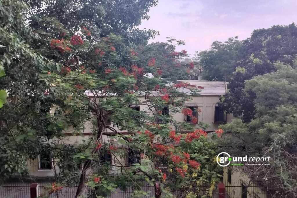 Madhya Pradesh Weather: IMD Forecasts Rain and Wind for June 21