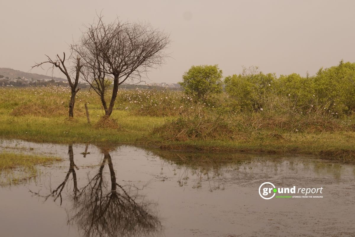 How can Bhoj wetland address the issue of microplastics9101112