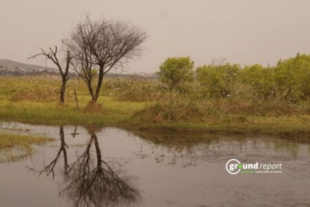 Wetlands Are Disappearing Fast. Scaling Up Funding Is the Only Way to Save Them