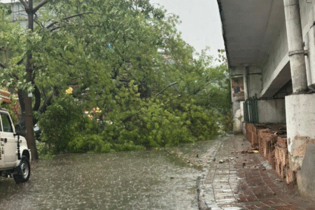 Heavy Rains Trigger Flood-like Situation in Madhya Pradesh